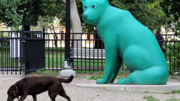 City Dogs