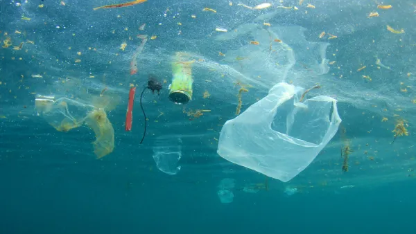 Litter