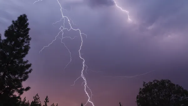 Forest Lightning