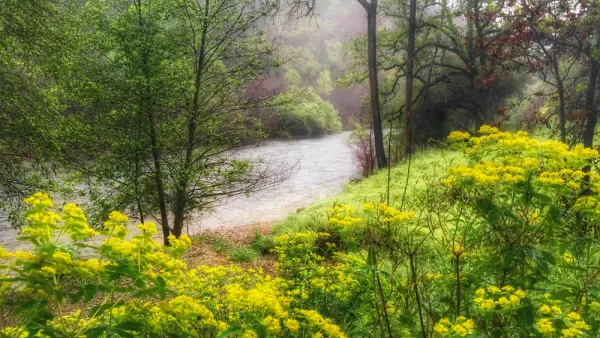 California River