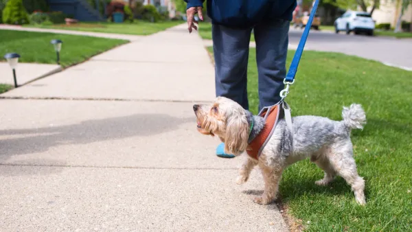 Walking the Dog