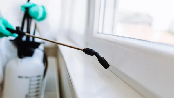 Close-up of person spraying pest control