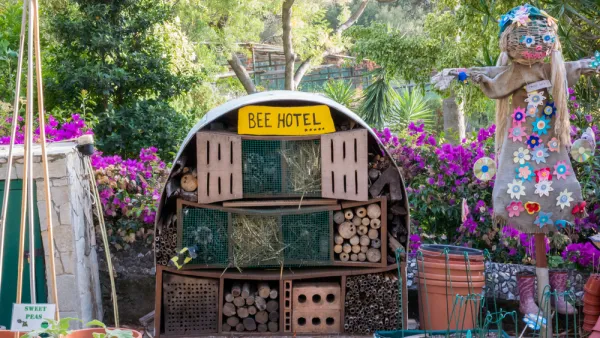Garden with bee houses labeled 'bee hotel' and scarecrow