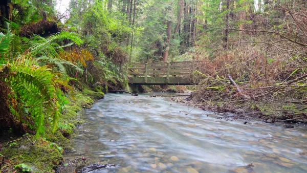 Coast Stream