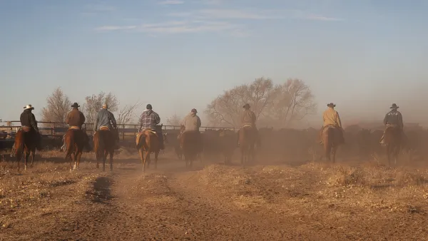 Cattle Ranch