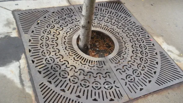 Tree Grate