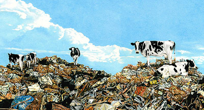 Don Simon - Cows on Garbage 2